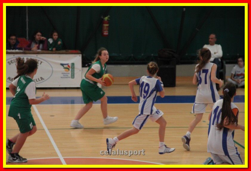 140301 GM_basket 193_tn.jpg